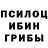 Галлюциногенные грибы Psilocybe KATECHUP ENGLISH