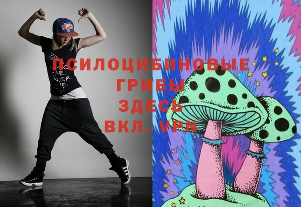 эйфоретик Беломорск