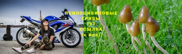 mix Белокуриха