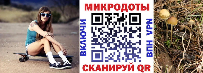 Галлюциногенные грибы Magic Shrooms  Нерчинск 